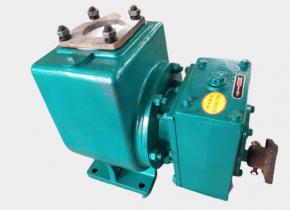 小型(xing)灑水泵