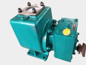 小型(xíng)灑水泵